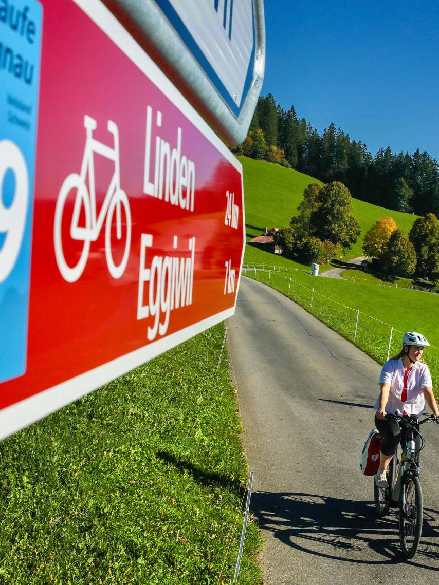 Herzschlaufe Langnau #499