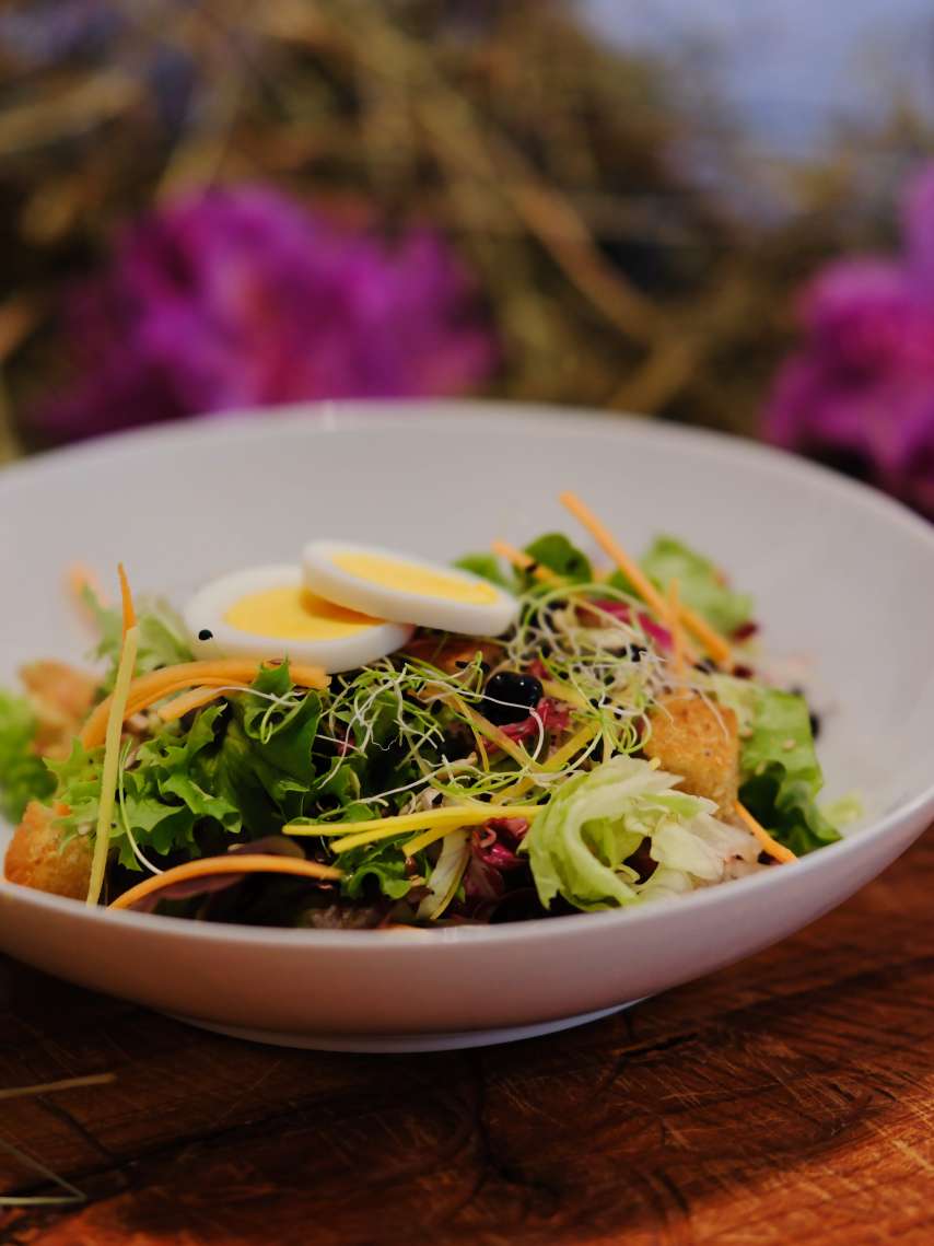Hirschensalat